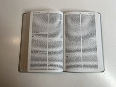 ESV Large Print Value Thinline Bible (Trutone, River Stone, Branch Design)