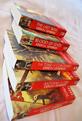 Andrzej Sapkowski THE WITCHER Saga 5 PB Fantasy Lot #1-4+ Prequel MONSTER HUNTER