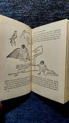 VTG RARE 1959-1975 MY SIDE OF THE MOUNTAIN By Jean Craighead George – Hardcover
