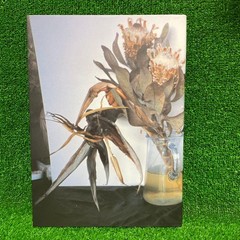 Nuuke Nobuyoshi Araki Photo Book 30x22cm Limited 1000 Softcover