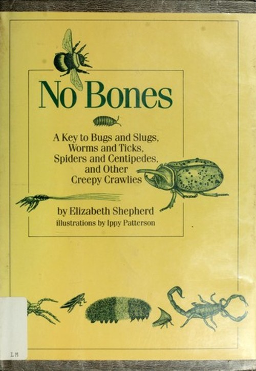 No Bones : A Key to Bugs and Slugs, Worms, and Ticks, Spiders and