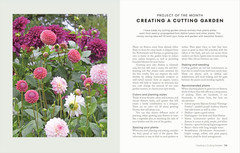 The Money-Saving Garden Year: A Month-by-month Guide to a Great Garden that Cost