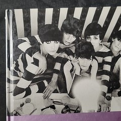 Zeitgeist & Glamour: Photography of the 60s and 70s by Nicola Erni New Sealed