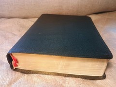 新譯和合聖經 New Chinese Version Union Parallel Bible Worldwide Bible Society