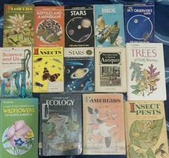 Lot 8 Vintage GOLDEN GUIDE Books BIRDS Butterflies FLOWERS Seashore INSECTS Tree
