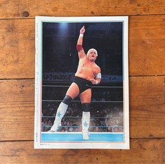 Pro Wrestling Album Set of 4 Featuring Backlund, Slaughter, Dusty Rhodes