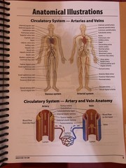ICD-10-CM Complete Code Set 2025 – Spiral-bound, by AAPC – Very Good