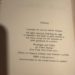 Trelawny Isabelle Holland 1974 Hardcover Dust Jacket Gothic Fiction Novel