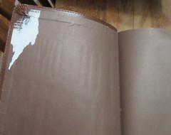 FOLLOWING JESUS BIBLE ESV 2011 Ages 8-12 BROWN TRU TONE Study Aids APPLICATIONS