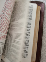 VINTAGE-1950 The Holy Bible Consolidated Book Illustrations Celebrated Old Maste