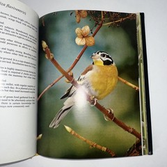 Aviary Birds in Colour, Woolham, Frank, Blandford Press, 1974