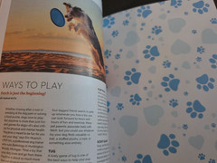A Dog’s Life-Special Edition Magazine by Paw Print-How They Think, Feel & Thrive
