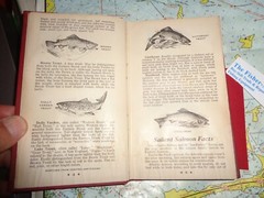 HODGMAN’S HANDY BOOK OF SPORTSMEN’S SECRETS COPYRIGHT 1946 VINTAGE 168 PAGES