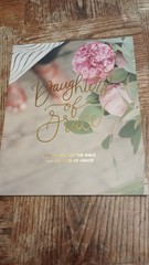 The Daily Grace Co. Devotional Bible study Lot: Ruth, Esther, Women of the Bible