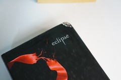 Twilight Saga Book Series 1-4 Stephenie Meyer New Moon Eclipse Breaking Dawn lot