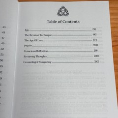 Project 369 David Kasneci 2020 First Edition Spirituality Palmetto