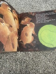 The Great Fuzz Frenzy By Janet Stevens (2005 Hardcover ) With Read Along CD