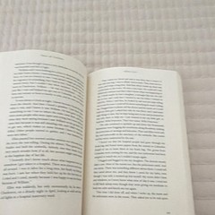 Theo of Golden: Novel Paperback by Allen Levi, Fiction, English, Kindness