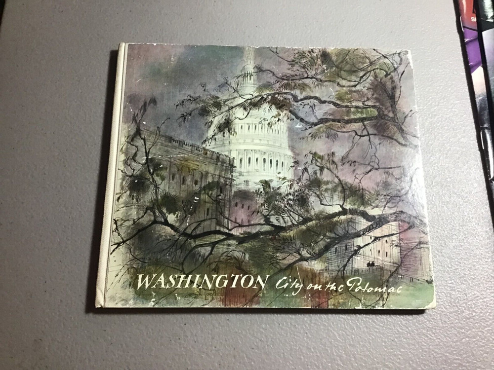Washington City on the Potomac