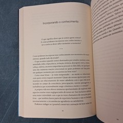 Atenção Plena Para Iniciantes Jon Kabat-Zinn Portuguese PB w/ CD LN