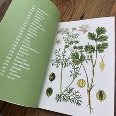 Herbal Handbook Recipes Tinctures Teas Balms And More New York Botanical Garden
