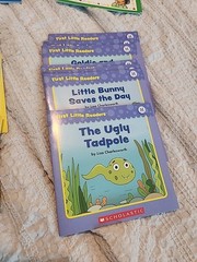 41 Scholastic Little Readers Books Level C-D, G-H Kindergarten 2nd Grade Phonic