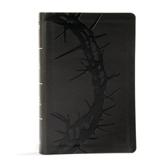 KJV Holy Bible Large Print LeatherTouch Red Letter King James w/ Bible Tabs Gift