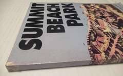 Summit Beach Park: Akron’s Coney Island by Diane & David Francis, Amusement Park