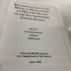 Reintroduction Of The Mexican Wolf Within Its Historic Range In The Southwestern