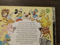 A Little Golden Book – Good Night, Aunt Lilly