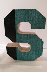 Decor MSU Mich State Univ Cut Letters Readers Digest Condensed Books Dorm Grad