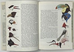 World Of Birds: New & Revised Ed. by James Fisher & Roger Tory Peterson HC w/ DJ