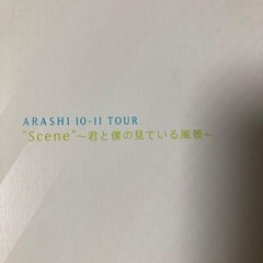 Arashi 10-11 TOUR Scene Photo Book Concert memorabilia