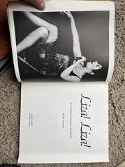 Liza Liza! An Unauthorized Biography of Liza Minnelli – Petrucelli SC Illustr.