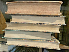 ANTIQUE BOOK IN LATIN from 1800s – Historical Collectible from 19th Century