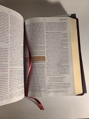 NIV Maxwell Leadership Bible Premium Bonded Leather BRAND NEW MSRP $79.99
