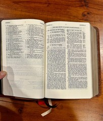RARE: Charles Ryrie Study Bible NKJV, Premium American Bison Leather Binding