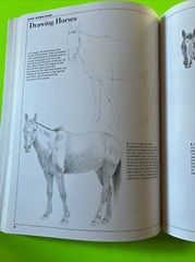 Pencil Drawing Techniques by David Lewis (1984, Uk-Trade Paper)