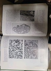 Vtg 1955 Hardcover Pathology for the Surgeon William Boyd 7th Edition Saunders
