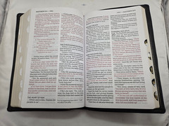 NASB Large Print Calfskin Black Red Letter 1995 Text Thumb Indexed