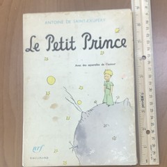 Gallimard Le Petit Prince by Antoine de Saint-Exupéry Paperback French Illus