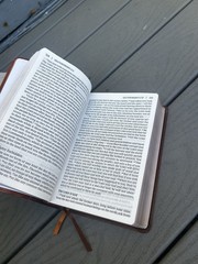 NIV, Giant Print Compact Bible, Leathersoft, Brown, Red Letter, Comfort Prin…