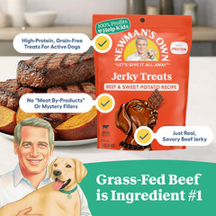 Beef & Sweet Potato Jerky Dog Treats, 5 Oz Bag (Pack of 6) — High Protein, Grain