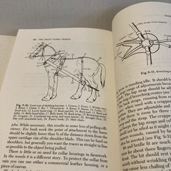 The Draft Horse Primer by Maurice Tellen 1977 Paperback 392 Pages
