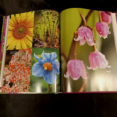 The Best of Birds & Blooms 2012 Hardcover Nature Book 255 Pages Illustrated