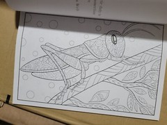 COLORFUL ESCAPES – The colors of Nature! Vol. 26 -Adult Coloring Book – 31 Pages