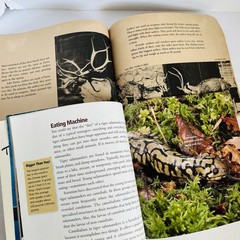 Animal Science Nature Book Lot 8 Classroom Homeschool Hibernation Baby STEM