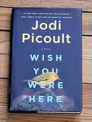 Lot Of 8 Jodi Picoult 4 Hardcover 4 Pb Salem Falls Vanishing Acts Perfect Match