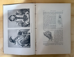 Bureau of American Ethnology – Eskimo About Bering Strait – Nelson 1899