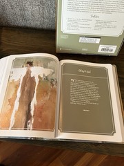 NRSVue, Holy Bible, Anne Neilson Angel Art Series, Leathersoft, Multi-Color